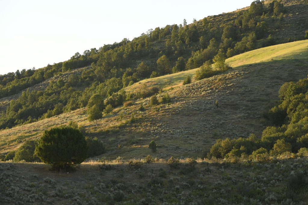 WCR ranch land