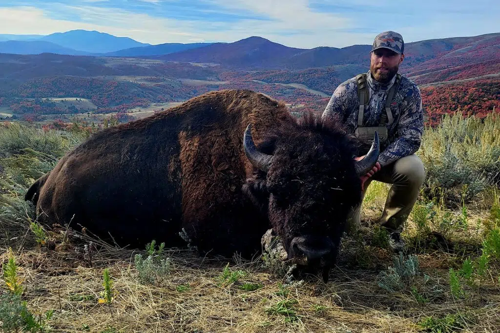 WCR_bison_hunt_1