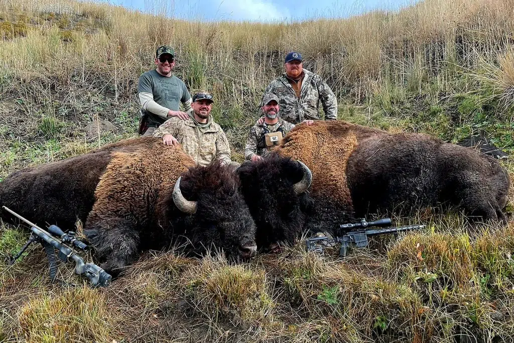 WCR_bison_hunt_4