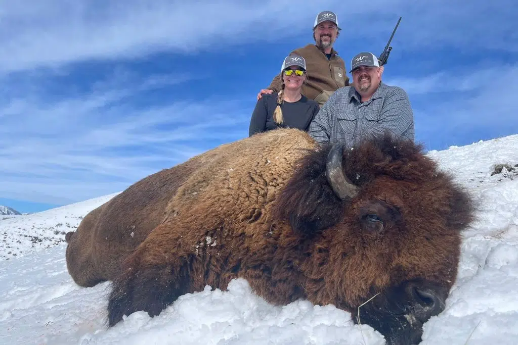 WCR_bison_hunt_7