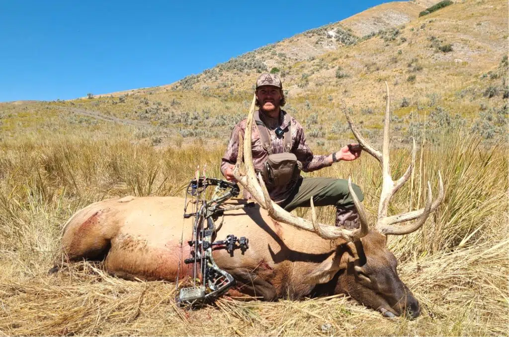 WCR_elk_gallery 1