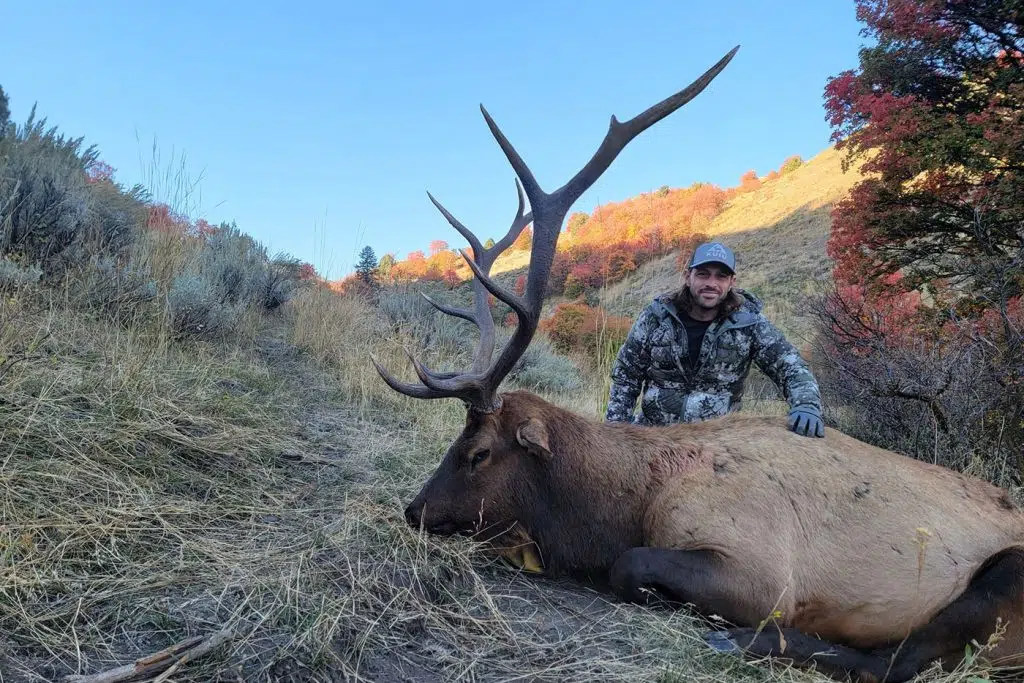 WCR_elk_hunt_8