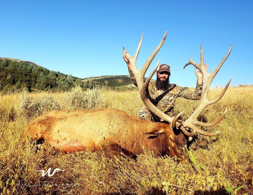 Preparing for your guided elk hunt featured