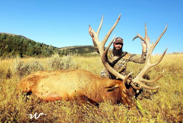 Preparing for your guided elk hunt featured