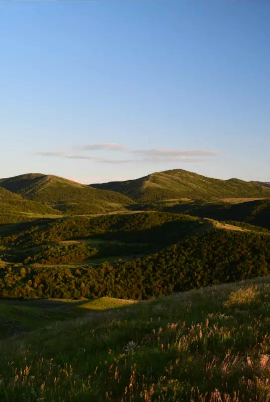 Hunting in Paradise Utah | West Canyon Ranch