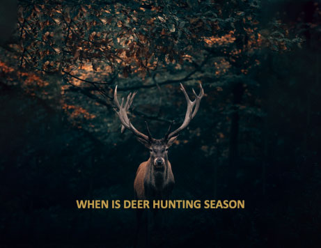 When is elk hunting season 2021 in utah featured