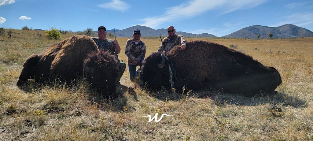 WCR_bison_hunting_1