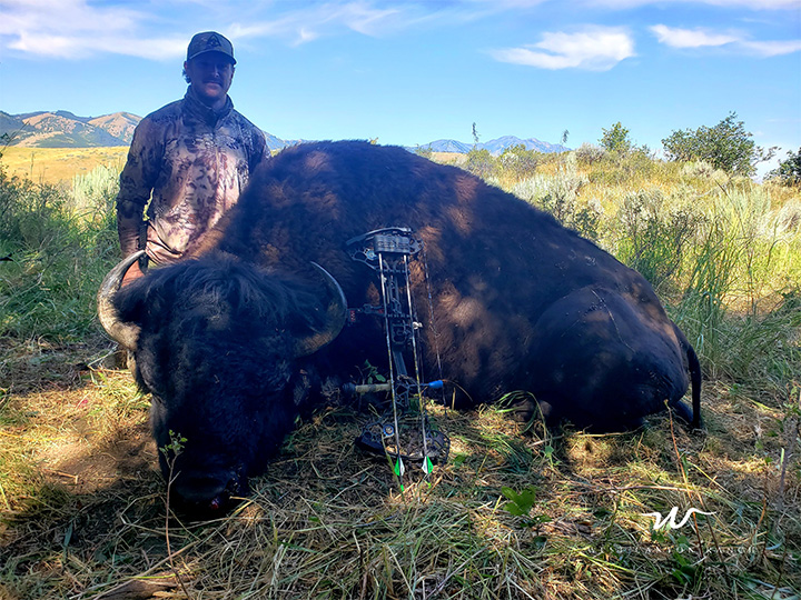 WCR_bison_hunting_2