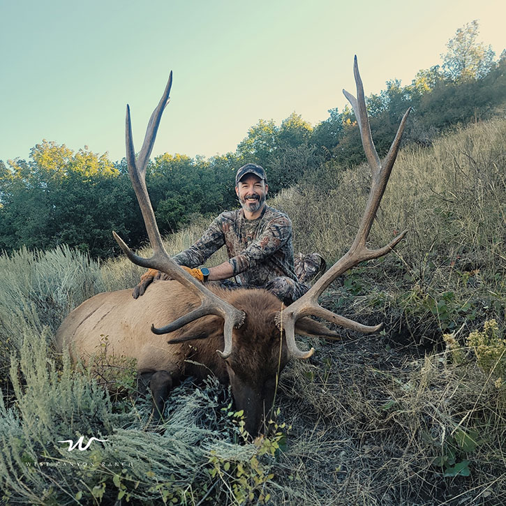 Guaranteed guided elk hunting 1