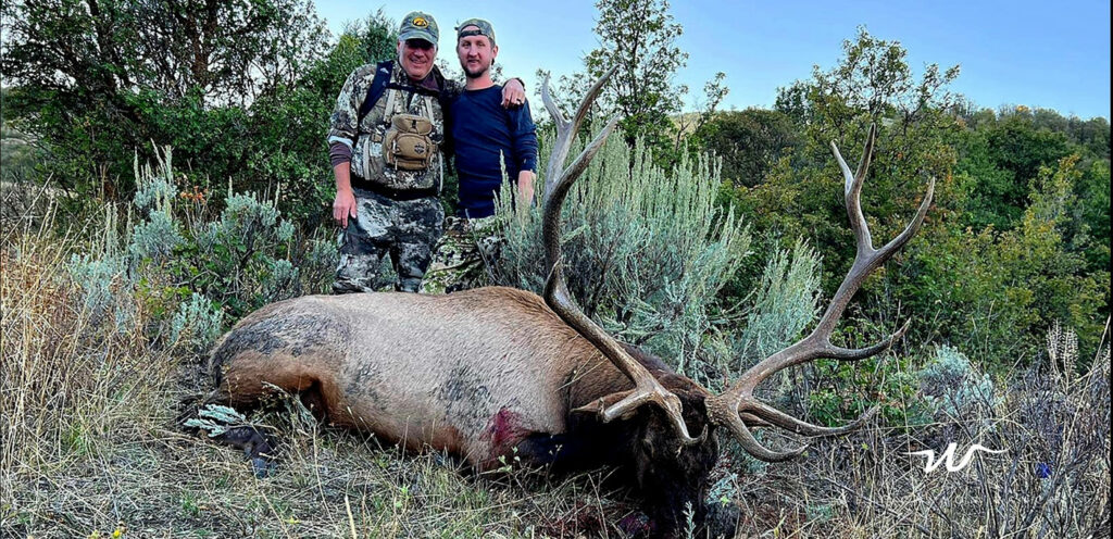 Guaranteed guided elk hunting 2