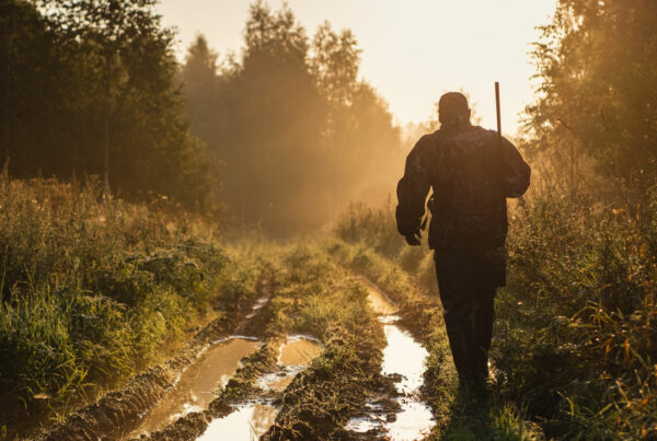 Everything To Know About Guided Hunting
